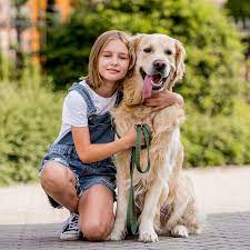Betoverende Golden Retriever Pups: Een Schattige Verkenning