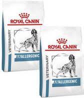 Ontdek de Voordelen van Royal Canin Anallergenic Hondenvoer