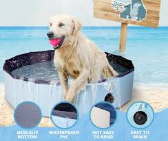 Verkoeling voor je Vierpotige Vriend: Het Ideale Honden Zwembad