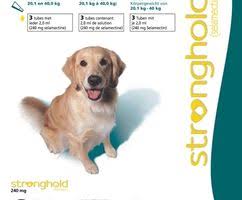 Effectieve Bescherming Tegen Parasieten: Stronghold Voor Uw Hond