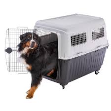 Veilig en Comfortabel Reizen met een Autobench voor uw Hond