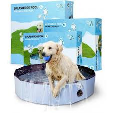 Verkoelende Waterpret: Het Ideale Zwembad voor Honden!