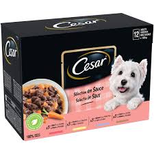 De Filosofie van Cesar Millan: Ontdek de Unieke Benadering van de Cesar Hond