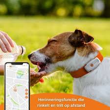 De Ultieme Gids voor GPS Halsbanden voor uw Hond