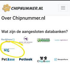 Alles Over Het Chipnummer van Uw Hond: Belangrijk voor Veiligheid en Identificatie