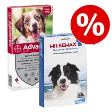 Ontdek het Beste Assortiment voor Honden bij Zooplus