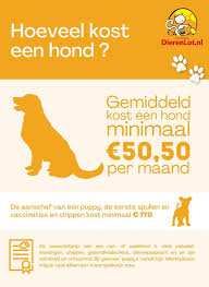 Wat zijn de kosten van het hebben van een hond? – Ontdek de financiële aspecten van het bezitten van een viervoeter