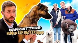 een hond