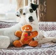 Origineel Kerstcadeau voor je Trouwe Hond