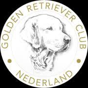 golden retriever pups met stamboom