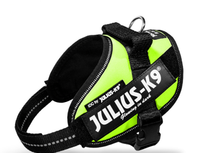 Ontdek het Comfort en de Veiligheid van het Mazter Hondentuig