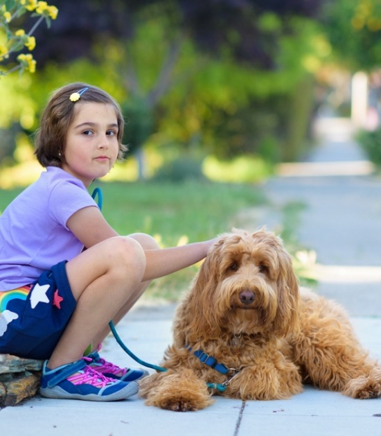 Ontdek De Beste Kindvriendelijke Kleine Honden Voor Gezinnen
