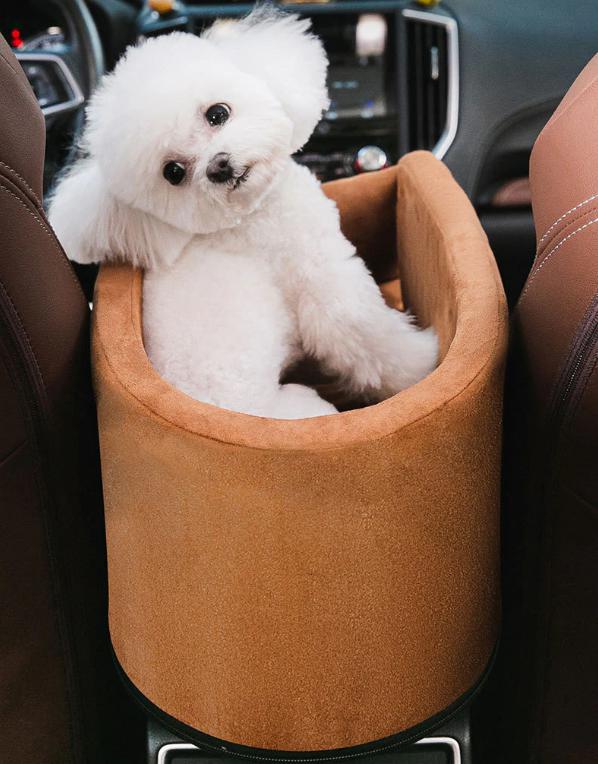 autostoel voor kleine honden