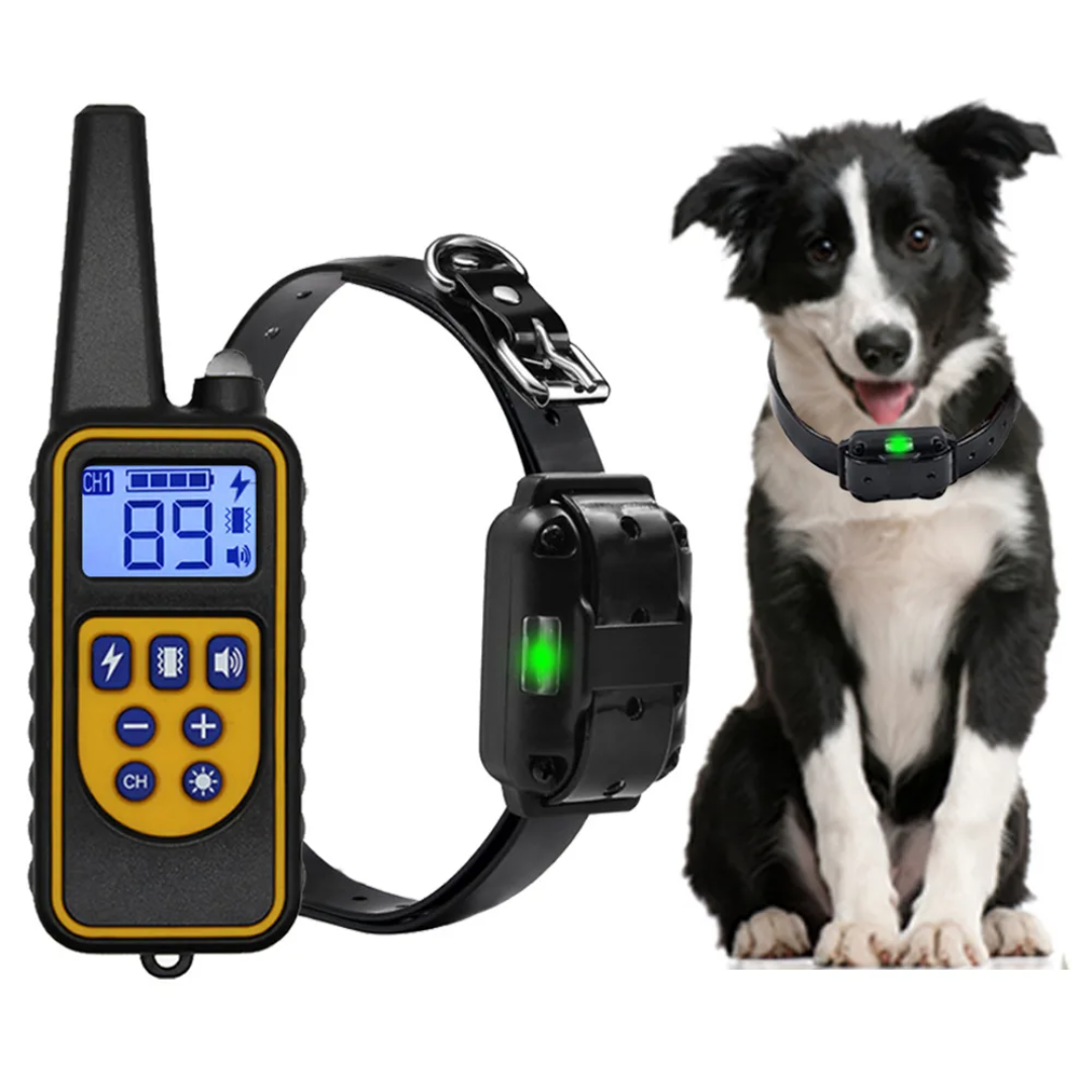 stroomband kleine hond