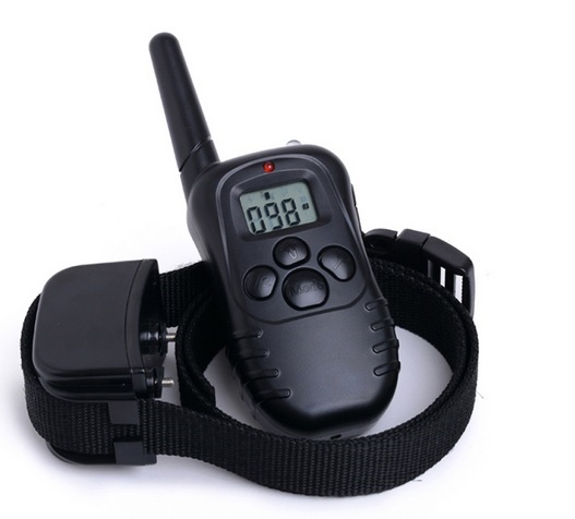 Trainingshalsband voor een kleine hond: veilig kiezen en gebruiken